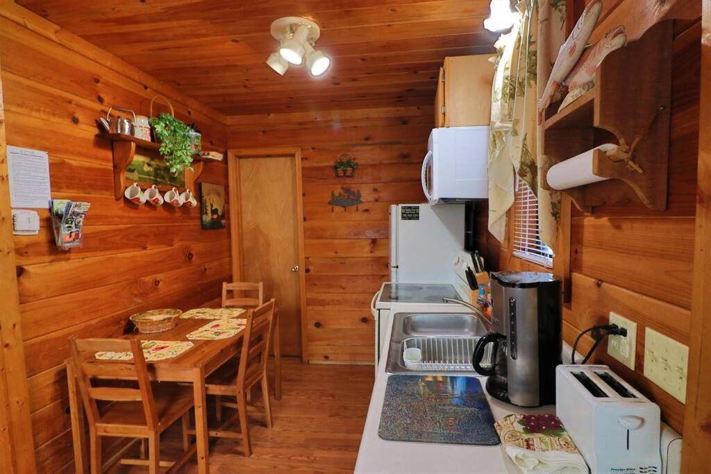 Mountain Cabin 2B Jacuzzi #10 Helen Εξωτερικό φωτογραφία
