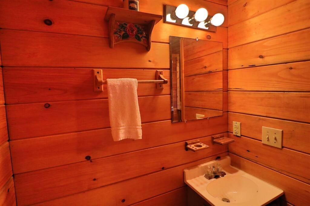 Mountain Cabin 2B Jacuzzi #10 Helen Εξωτερικό φωτογραφία